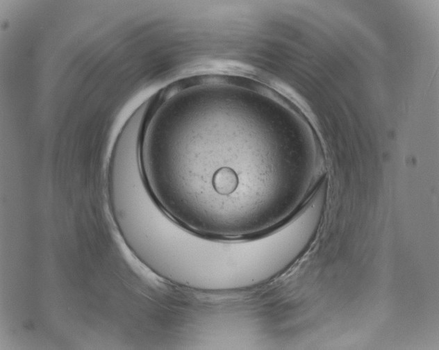 X0000072551152200607141246