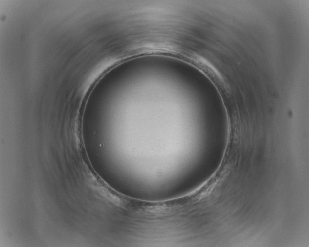 X0000072551182200607141245