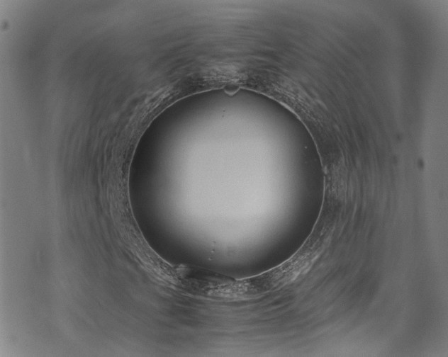 X0000072551201200607141244