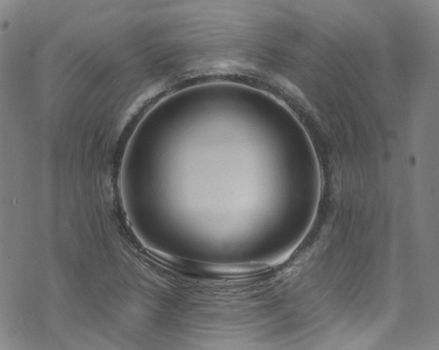 X0000072551218200607141244