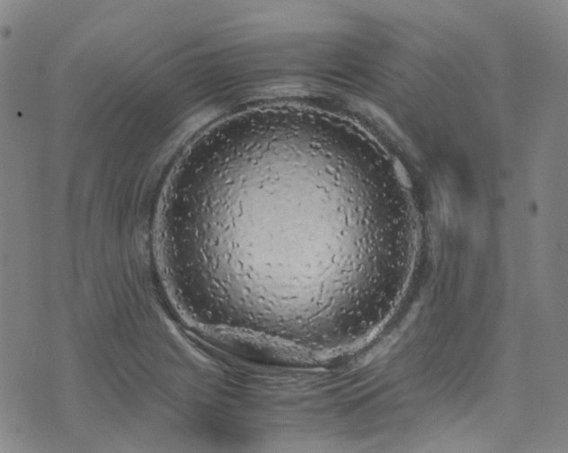 X0000072551225200607141244