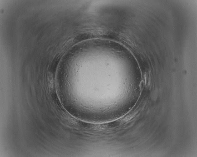 X0000072551251200607141244
