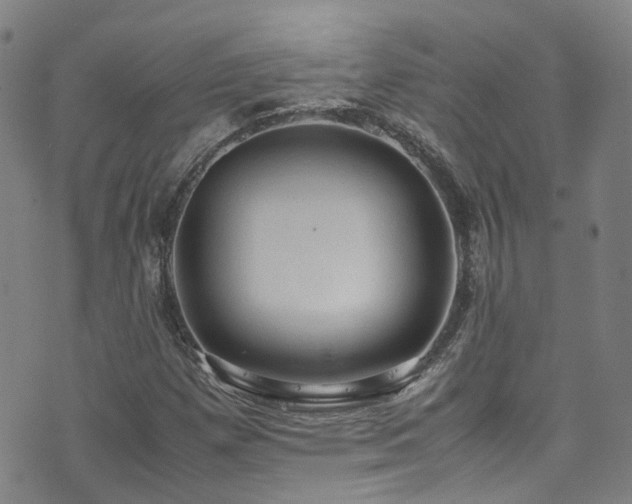 X0000072551257200607141244