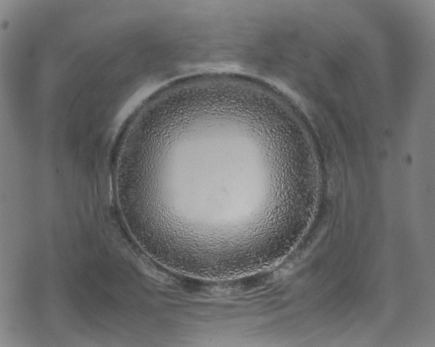 X0000072551271200607141243