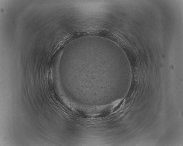 X0000072551298200607141242