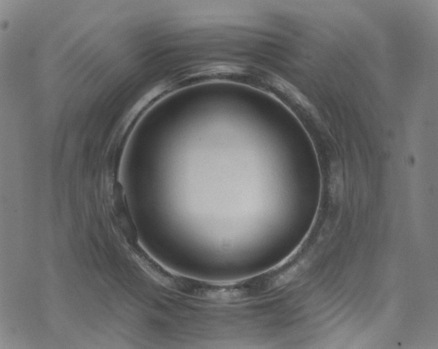X0000072551321200607141243