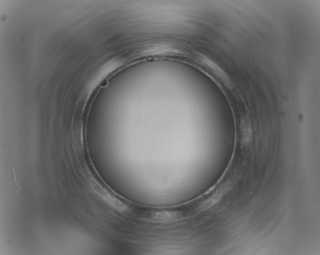 X0000072551322200607141243