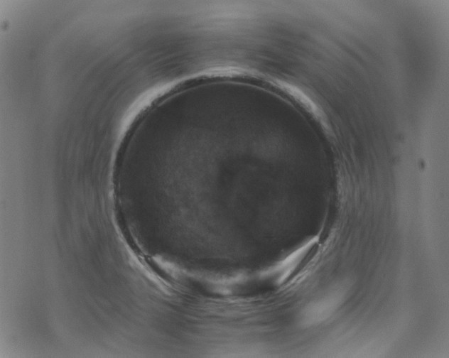X0000072551327200607141243