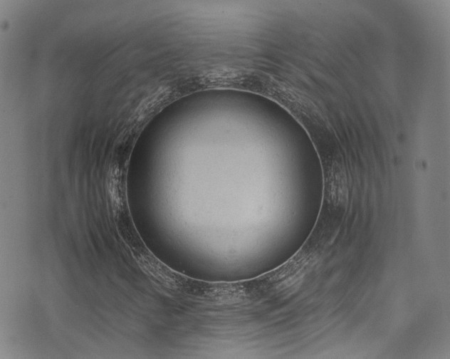X0000072551346200607141242
