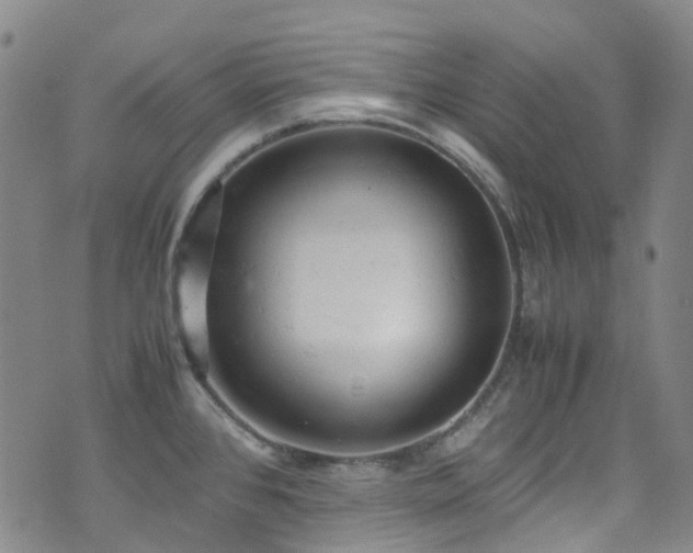 X0000072551384200607141242