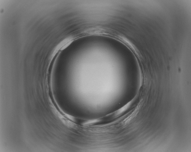 X0000072551434200607141241