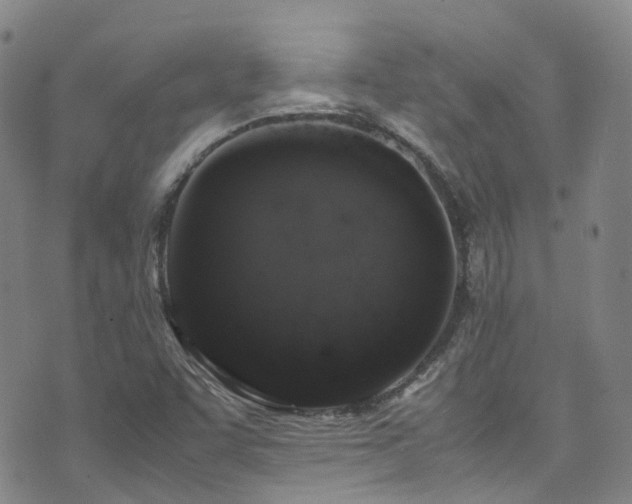 X0000072551455200607141240