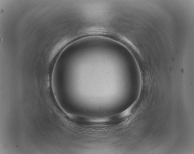 X0000072551461200607141240