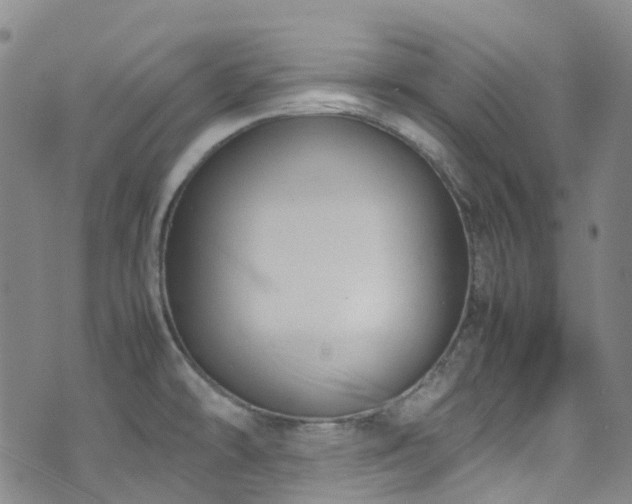 X0000072551478200607141240