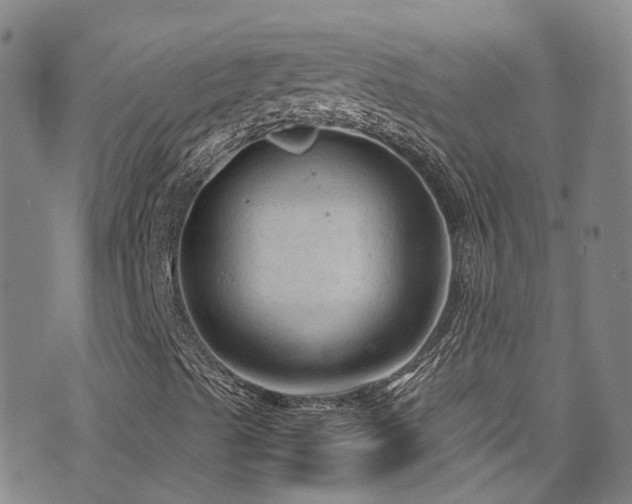 X0000072551489200607141239