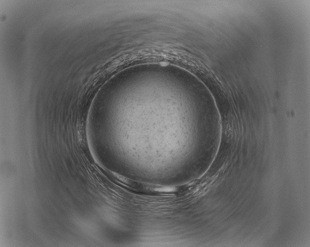 X0000072551490200607141239