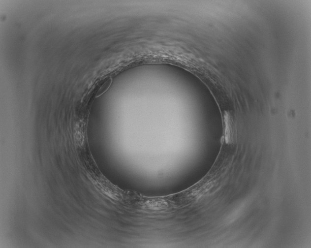 X0000072551491200607141239