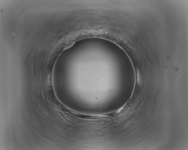 X0000072551492200607141239