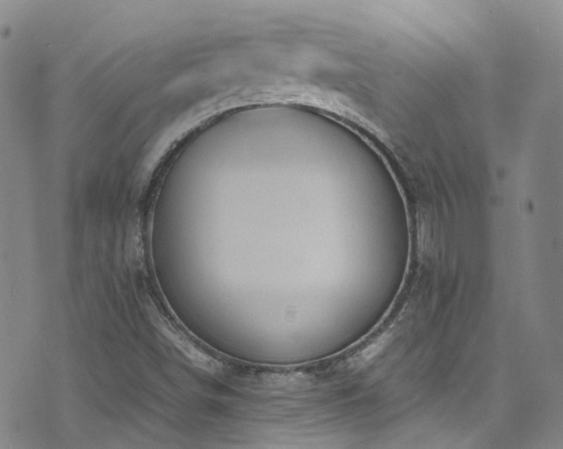 X0000072551498200607141239