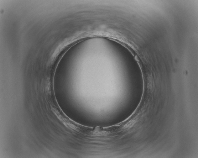 X0000072551499200607141239