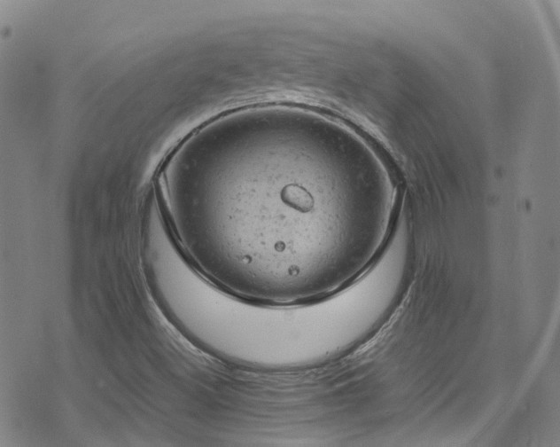 X0000072551500200607141239