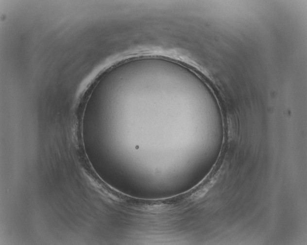 X0000072551502200607141239