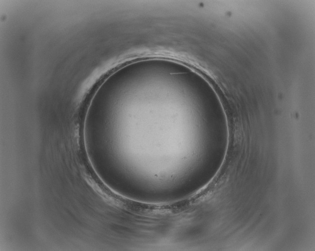 X0000072551503200607141239