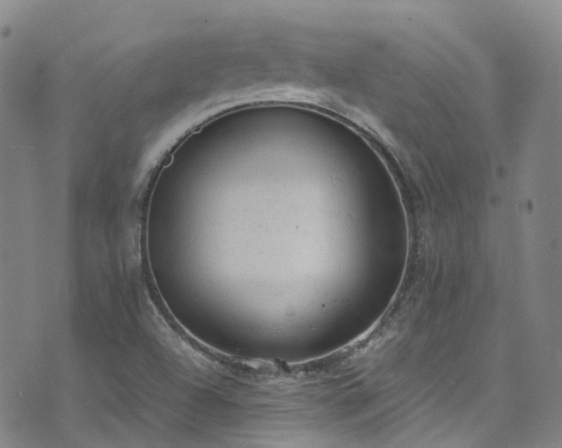 X0000072551504200607141239