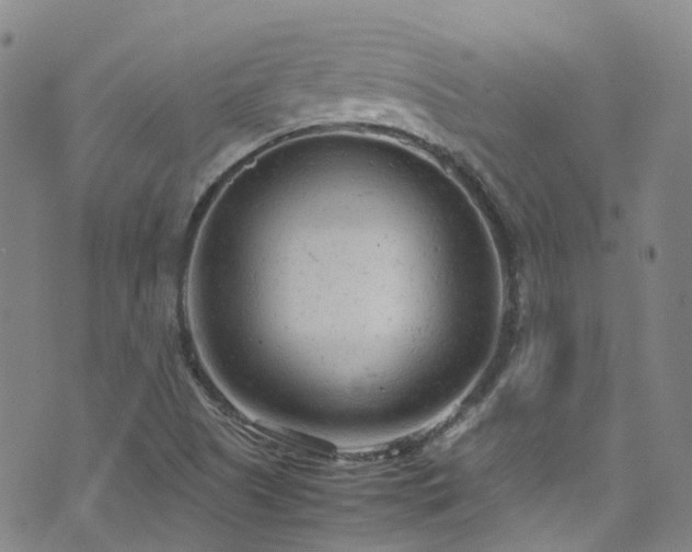 X0000072551505200607141239