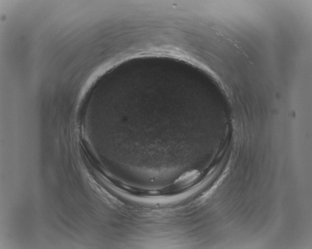 X0000072551506200607141239