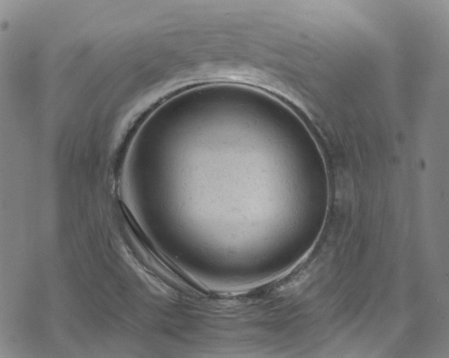 X0000072551507200607141239