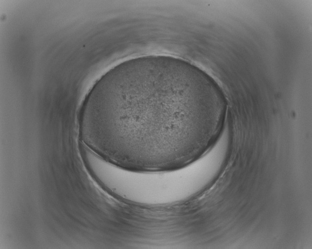 X0000072551508200607141239