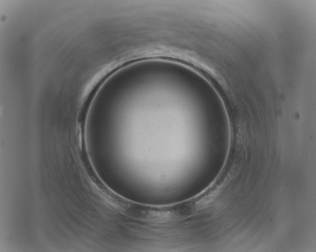 X0000072551509200607141239