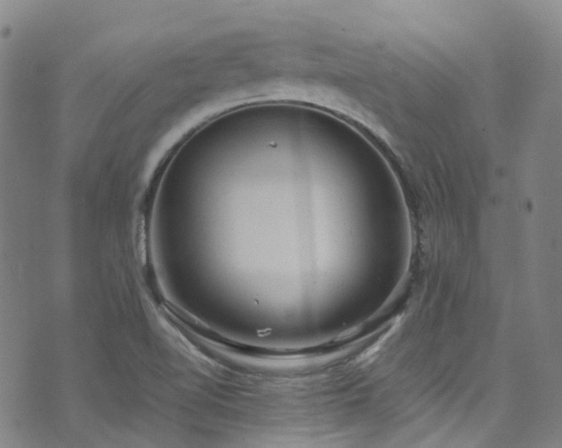 X0000072551510200607141239