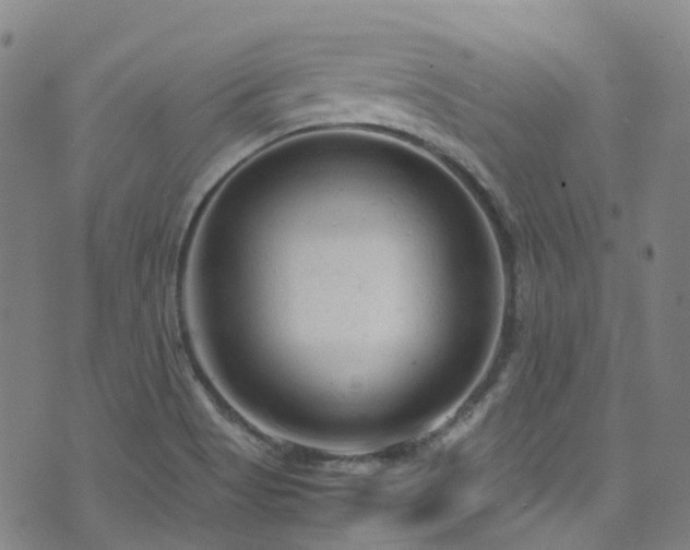 X0000072551513200607141239