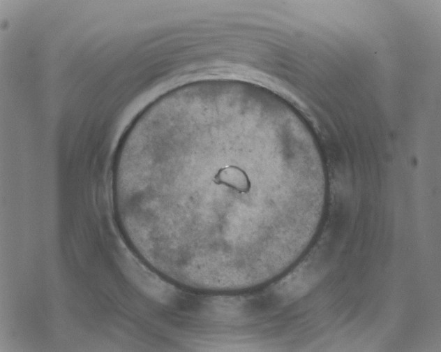 X0000072551514200607141239