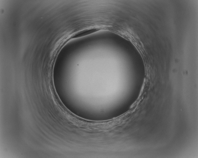 X0000072550001200607211411