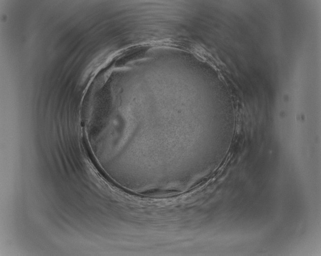 X0000072550002200607211411