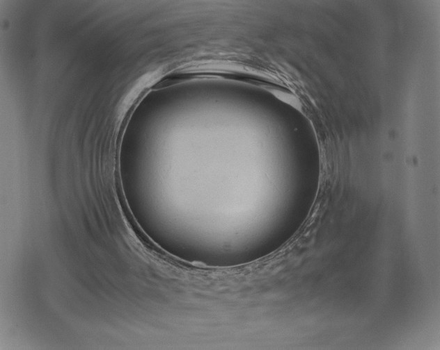 X0000072550003200607211411