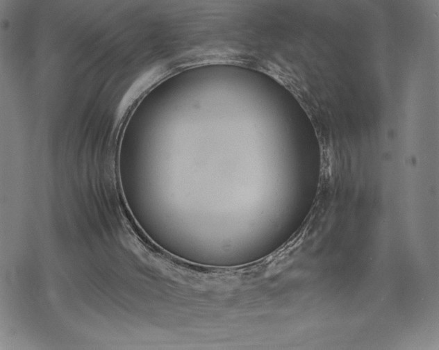 X0000072550004200607211411