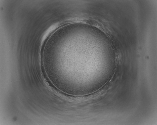 X0000072550006200607211411