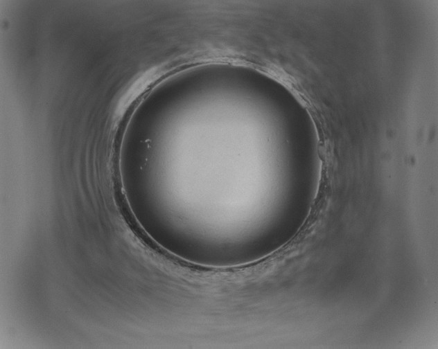 X0000072550007200607211411