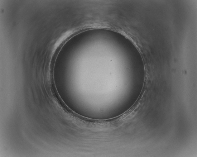 X0000072550008200607211411