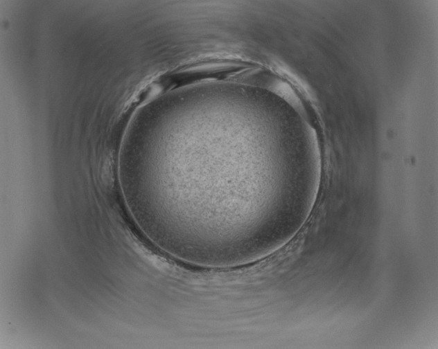 X0000072550009200607211410