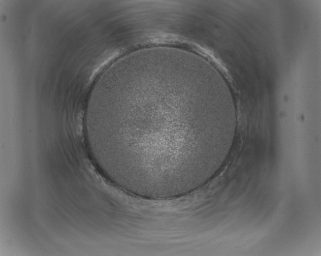 X0000072550010200607211410