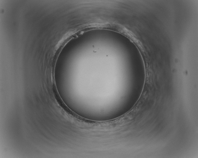 X0000072550011200607211410