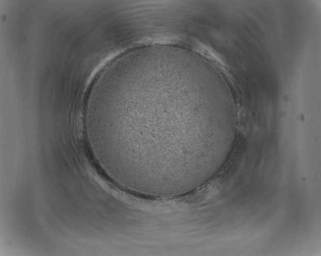 X0000072550012200607211410