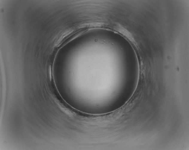 X0000072550013200607211410