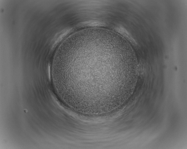 X0000072550014200607211410