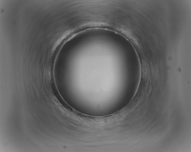 X0000072550015200607211410